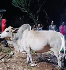 Foundation archive photo